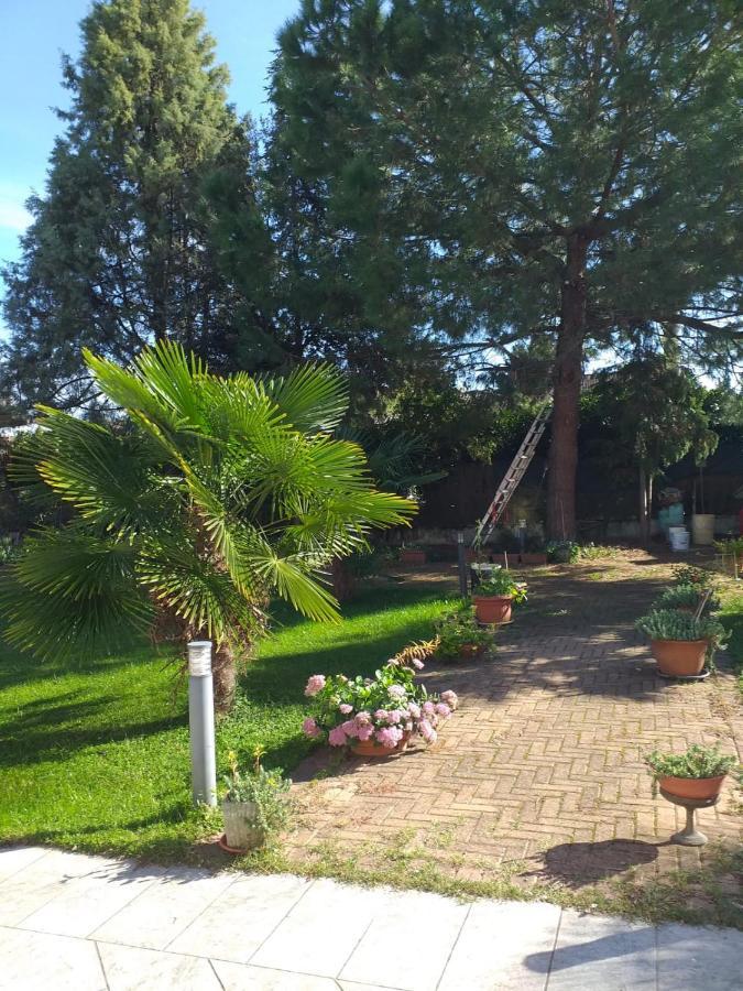 Antica Cascina B&B Borghetto Lodigiano Dış mekan fotoğraf